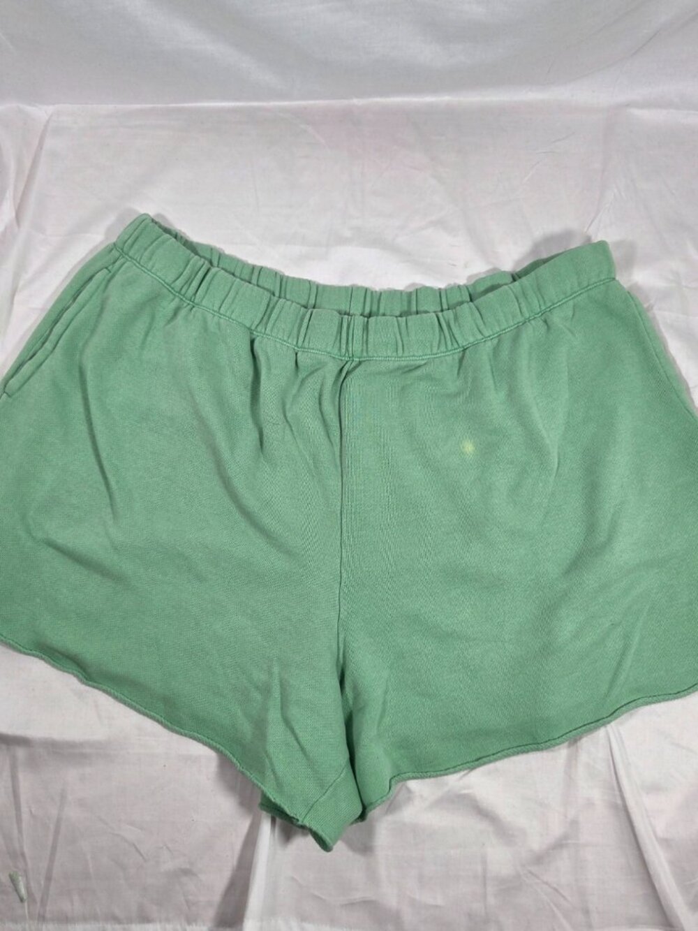Aerie Women's Green Shorts